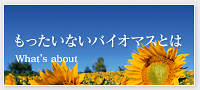 もったいないバイオマスとは