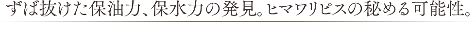 親油性機能の発見。ヒマワリピスの秘める可能性。